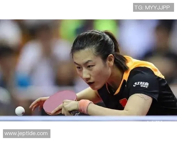 南京乒乓球队实力分析与表现评估探讨